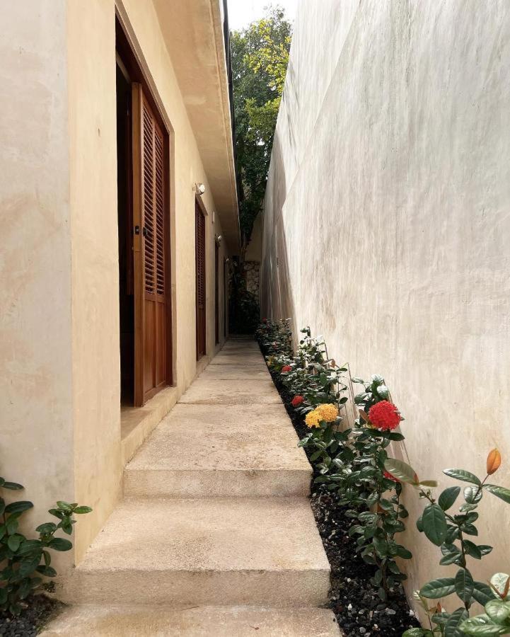 Bajo Las Hojas Campeche Luaran gambar